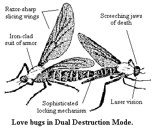 Lovebugsdiagram.gif