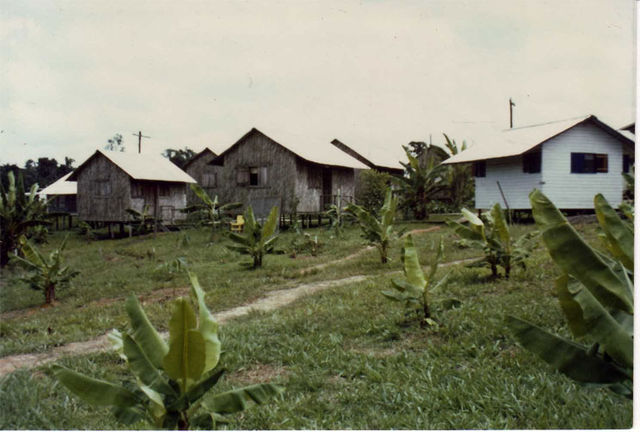 Jonestown.jpg
