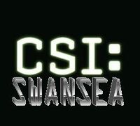 Csi-logo.jpg