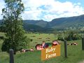 Babyfarm.jpg