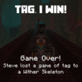 Minecraft Wither Skeleton game of tag.png
