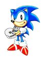Sonic101.jpg