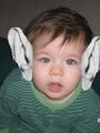 Baby ears Josh-Server.JPG