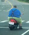 Fat man on scooter.jpg