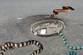 Sewer Snake Manhole.jpg