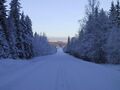 Wintery road.jpg