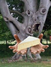 Brie Tree.jpg