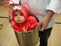 Baby-lobster.jpg