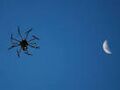Drone and moon.jpg