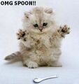 Spoon Attack.jpg